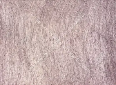 Mohammad Ali Talpur (Artist), Untitled (Leeka), Drawing