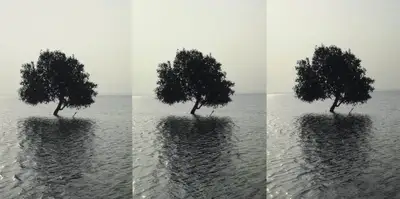 Atul Bhalla (Artist), Alone And Again, 2007, Print