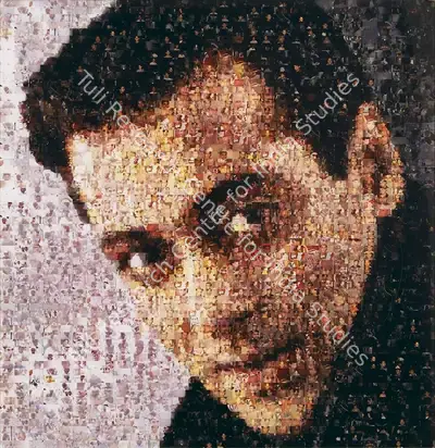 Rashid Rana (Artist), Ommatidia II (Salman Khan), 2004, Print