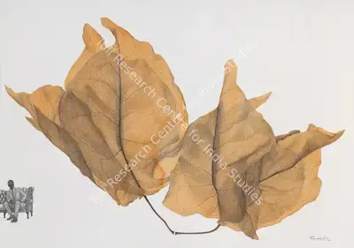 P.N. Chaturvedi (Artist), The Orange Bougainvillea Flower, 2022, Painting
