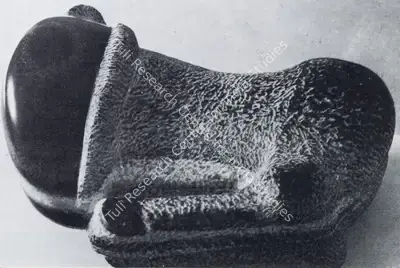 Nagji Patel (Artist), Animal, 1974, Sculpture
