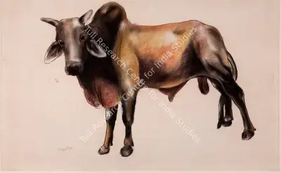 Manjit Bawa (Artist), Untitled (Bull), 1991, Drawing