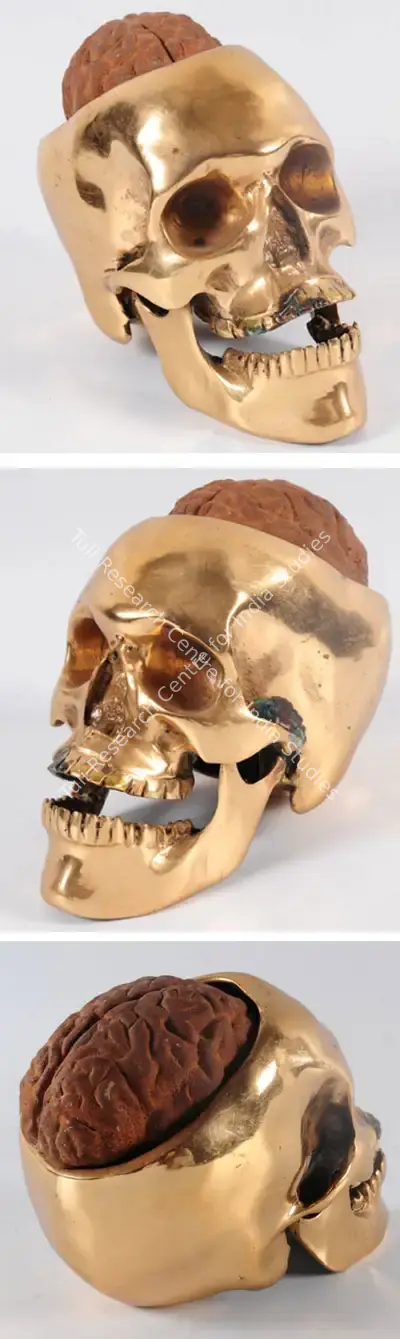 Ritesh Ajmeri (Artist), Rusted Brain 1, 2008, Sculpture