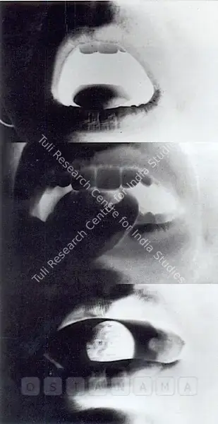 Jyothi Basu (Artist), Art Affairs, 2006, Drawing