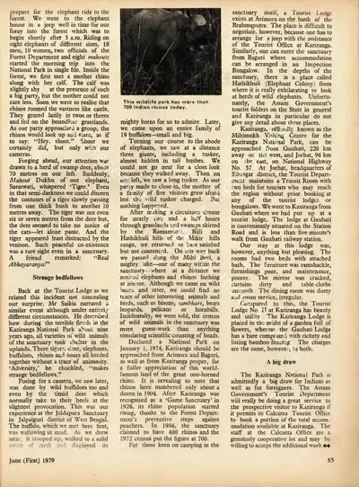 Tushar Ranjan Patranabis (Essayist), Kaziranga National Park, 1979, Essay