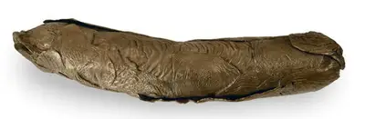 Mrinalini Mukherjee (Artist), Untitled, Sculpture