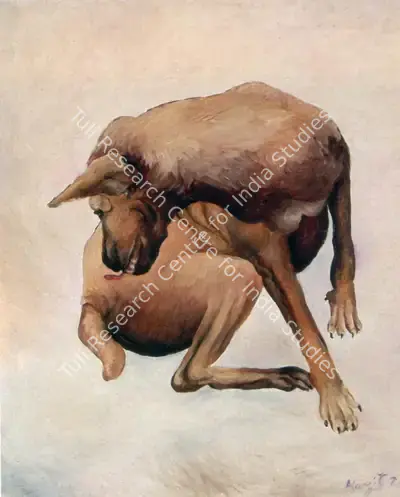 Manjit Bawa (Artist), Dog, 1990, Painting