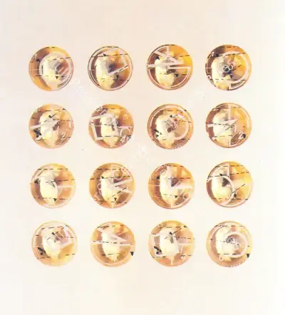 A. Balasubramaniam (Artist), 16 - O, 1997, Graphic Art