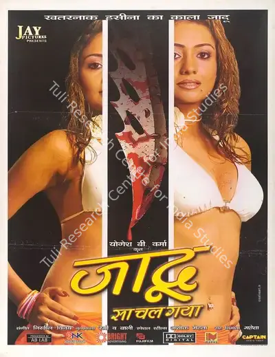 Yogesh B. Varma (Director), Jaadu Sa Chal Gaya, 2006, Full Sheet Poster