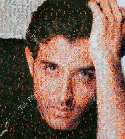 Rashid Rana (Artist), Ommatidia I (Hrithik Roshan), 2004, Print