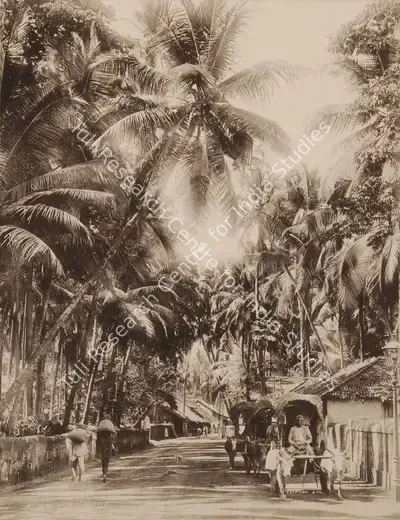 Studio Clifton & Co. (Photographic Studio), A Village Scene, 1900, Antiquarian Photograph