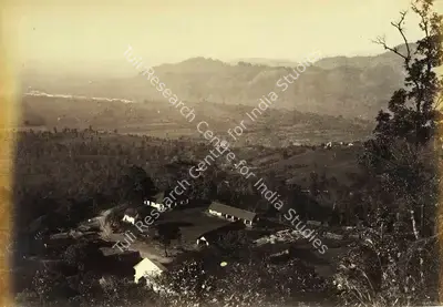 Robert Phillips Attributed (Photographer), Tea Plantation, Antiquarian Photograph
