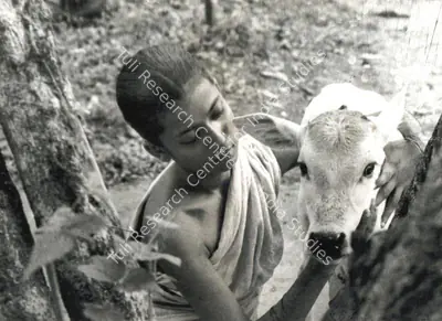 Subrata Mitra (Cinematographer), Pather Panchali, 1955, Photographic Still