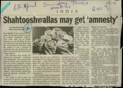 Chandrika Mago (Reporter), Shahtooshwallas may get 'Amnesty', 2003, Newspaper Clipping