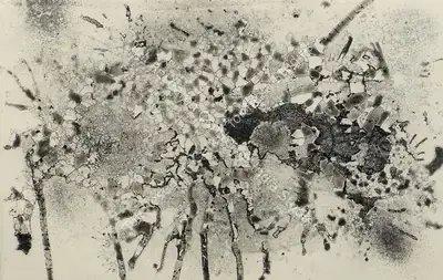 Pinaki Barua (Artist), Topography of a Village, 2008, Graphic Art