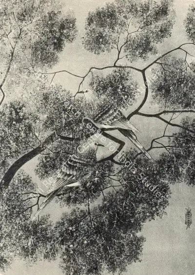 K. Madhava Menon (Artist), Bird Study, Painting