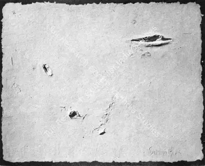 Somnath Hore (Artist), Wounds-20, 1972, Drawing