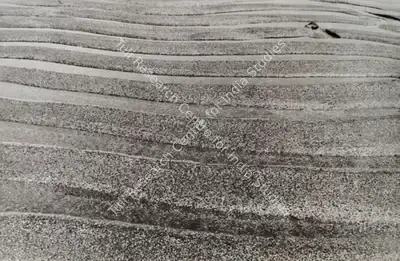 Nasreen Mohamedi (Artist), Untitled, 1969, Print