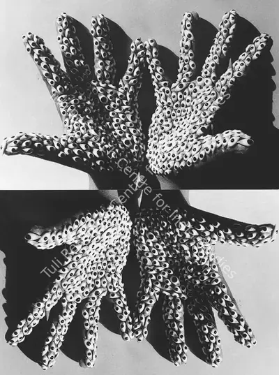 Anita Dube (Artist), Sea Creature, 2000, Print
