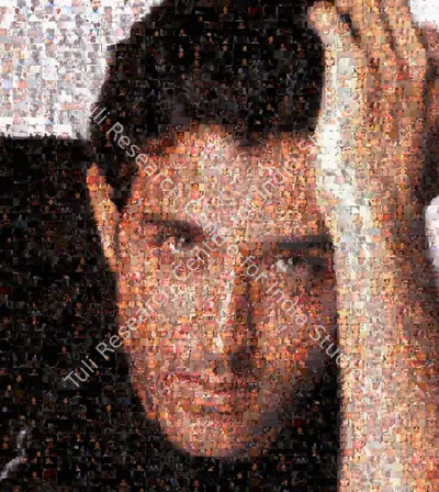 Rashid Rana (Artist), Ommatidia I (Hrithik Roshan), 2004, Print