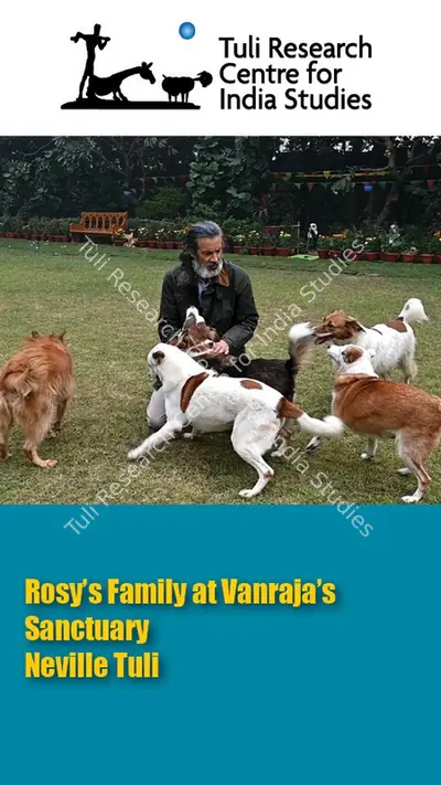 Tuli Research Centre for India Studies (Editor), Rosy's Family at Vanraja's Sanctuary & Hospice, 2025, In-house Video