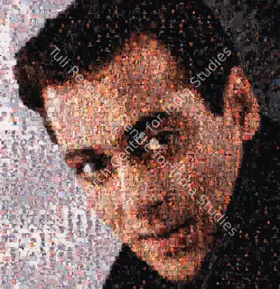 Rashid Rana (Artist), Ommatidia II (Salman Khan), 2004, Print
