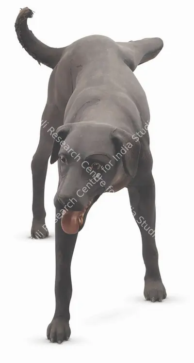 Jagannath Panda (Artist), Untitled (Dog), Sculpture