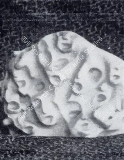 Amar Sehgal (Artist), Anguished Cries, Sculpture