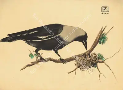 Zainul Abedin (Artist), Crow, 1949, Painting