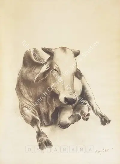 Manjit Bawa (Artist), Study Of Cow, 1988, Drawing