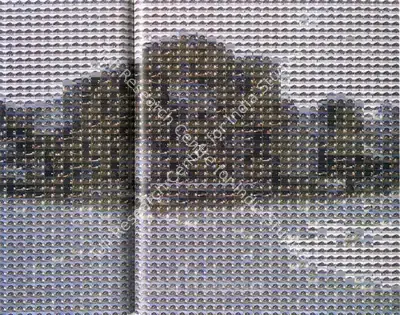 Rana, Rashid (Artist). Dislocation II, 2007 | Print, So.NeY/18.09.08, 2008 · Sotheby's