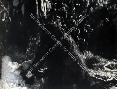 K.H. Kapadia (Cinematographer), Yeh Rastey Hain Pyar Ke, 1963, Photographic Still