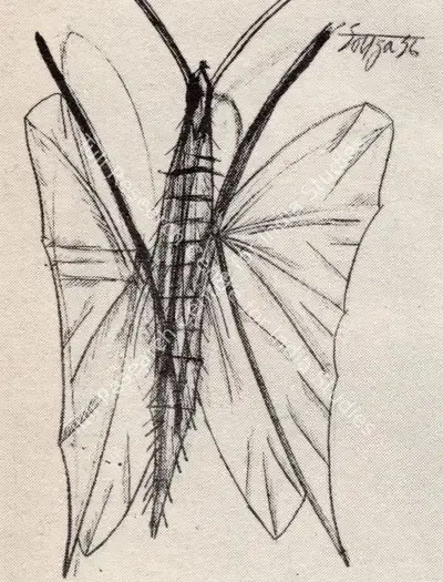 F.N. Souza (Artist), Insect, 1956, Drawing