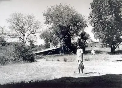 Subrata Mitra (Cinematographer), Aparajito, 1956, Photographic Still