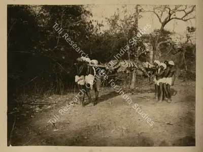 Willoughby Wallace Hooper (Photographer), Tiger Hunt, Antiquarian Photograph