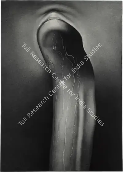Rameshwar Broota (Artist), Metamorphosis- (III), 1985, Painting