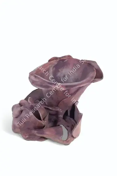 Mrinalini Mukherjee (Artist), Untitled, 1995, Sculpture