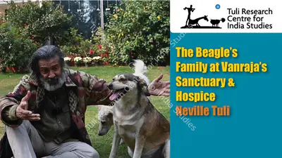 Tuli Research Centre for India Studies (Editor), The Beagle's Family at Vanraja's Sanctuary & Hospice: Neville Tuli, 2025, In-house Video