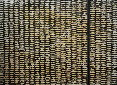 Akhilesh (Artist), Para, 2004, Painting