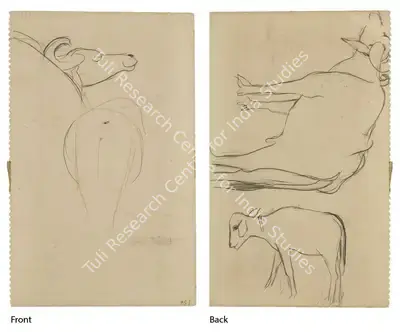 Amrita Sher-Gil (Artist), Untitled (Double Sided), Drawing