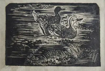 Chakravorty, Ramendranath (Artist). Untitled (Pair of Ducks), n.d. | Print, Pr.Mum/08.01.26, 2026 · Prinseps