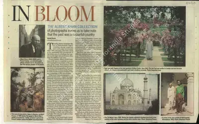 Indrajit Hazra (Reporter), In Bloom, 2009, Newspaper Clipping