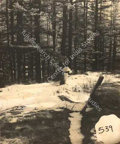 G. Singh (Cinematographer), Arzoo, 1965, Photographic Still