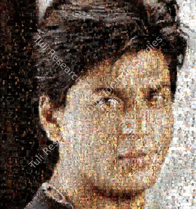 Rashid Rana (Artist), Ommatidia III (Shah Rukh Khan), 2005, Print