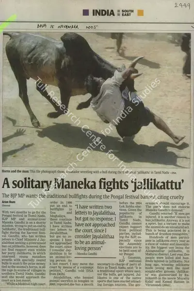 Arun Ram (Writer), A Solitary Maneka Fights 'Jallikattu', 2005, Newspaper Clipping