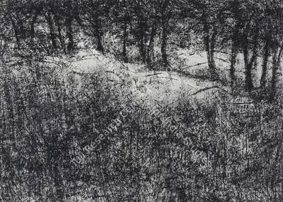 Paramjit Singh (Artist), Untitled, 2004, Drawing