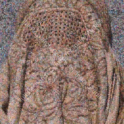 Rashid Rana (Artist), Veil III, 2004, Print