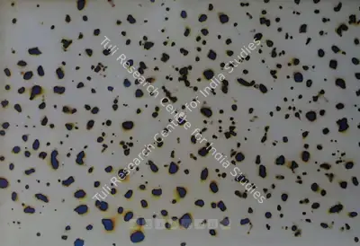 A. Balasubramaniam (Artist), Untitled, 2003, Painting