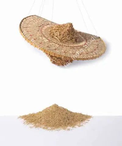 Hema Upadhyay (Artist), Derelict, 2007, Sculpture