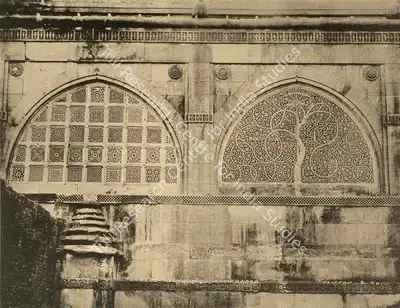 Studio Clifton & Co. (Photographic Studio), Ahmedabad. Marble screens in the Sidi Sayyad's Mosque, Antiquarian Photograph